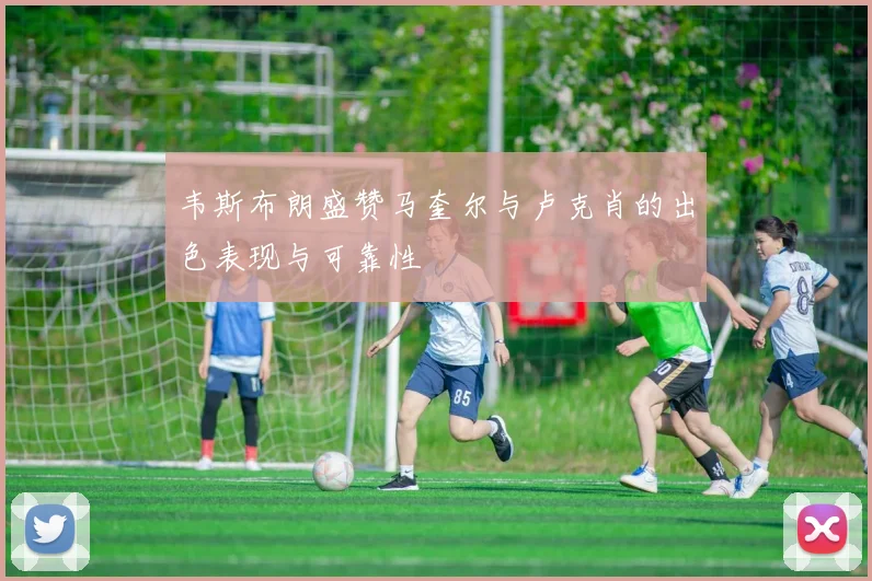 韦斯布朗盛赞马奎尔与卢克肖的出色表现与可靠性