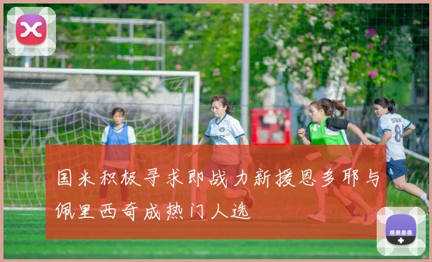 国米积极寻求即战力新援恩多耶与佩里西奇成热门人选